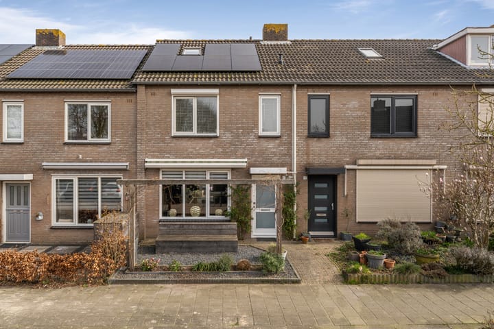 Foto 2 van Kraanvogel 43