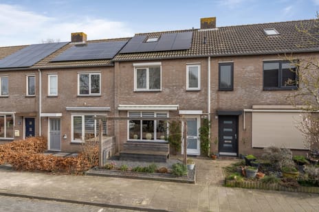 undefined main image