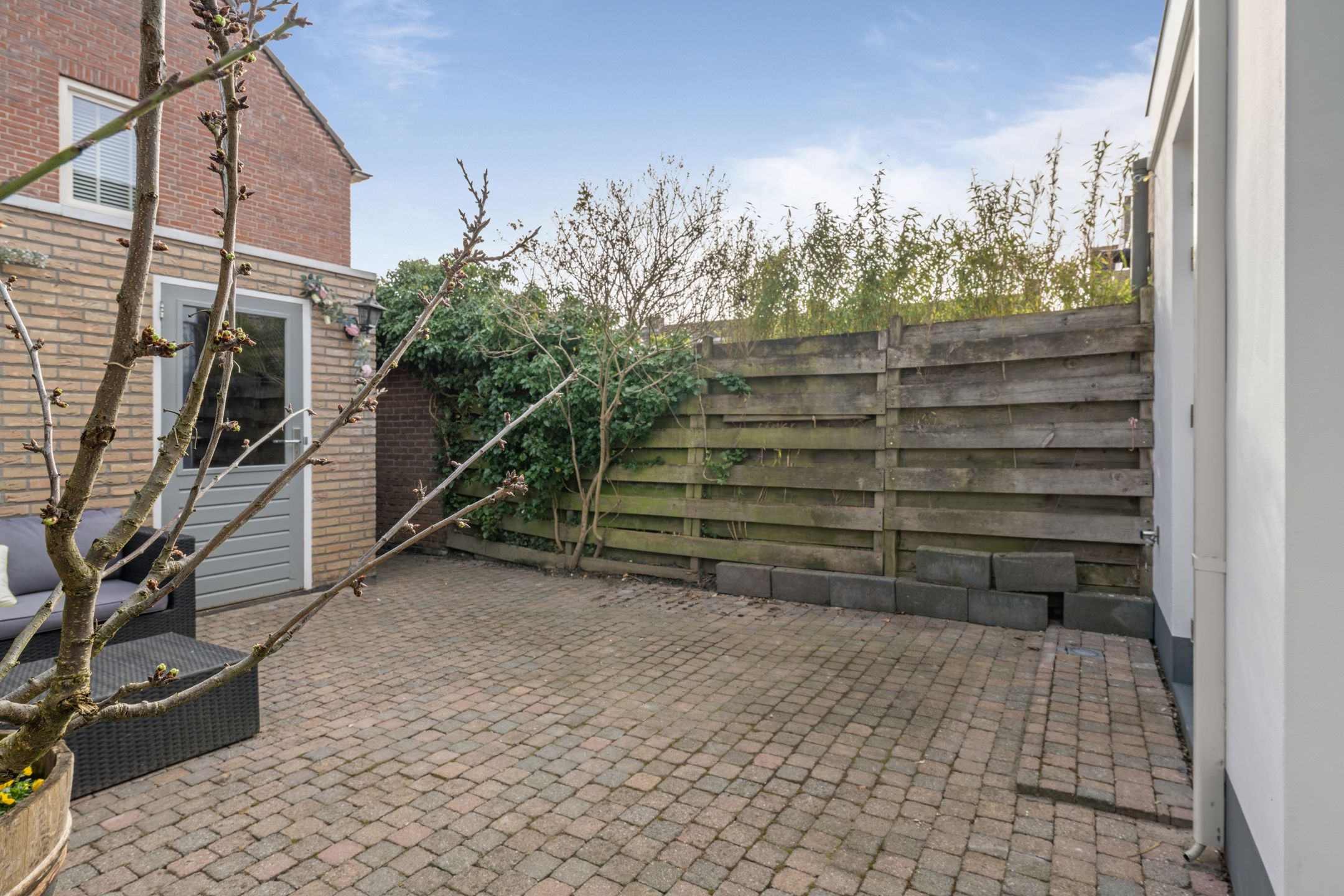 Foto 42 van Kraanvogel 43