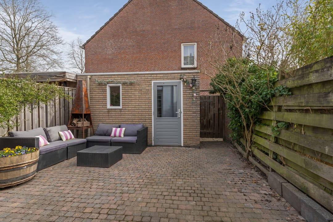 Foto 43 van Kraanvogel 43