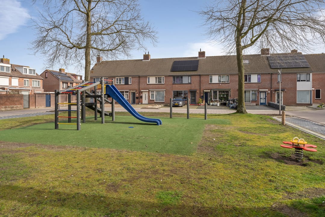 Foto 52 van Kraanvogel 43