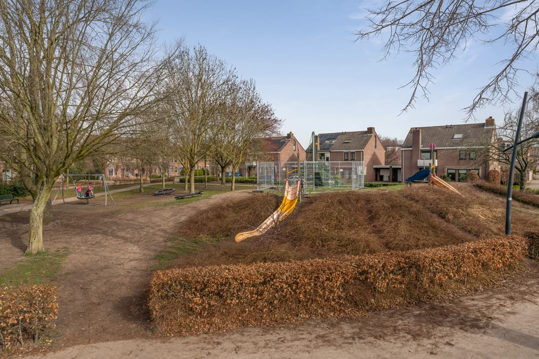 Foto 53 van Kraanvogel 43