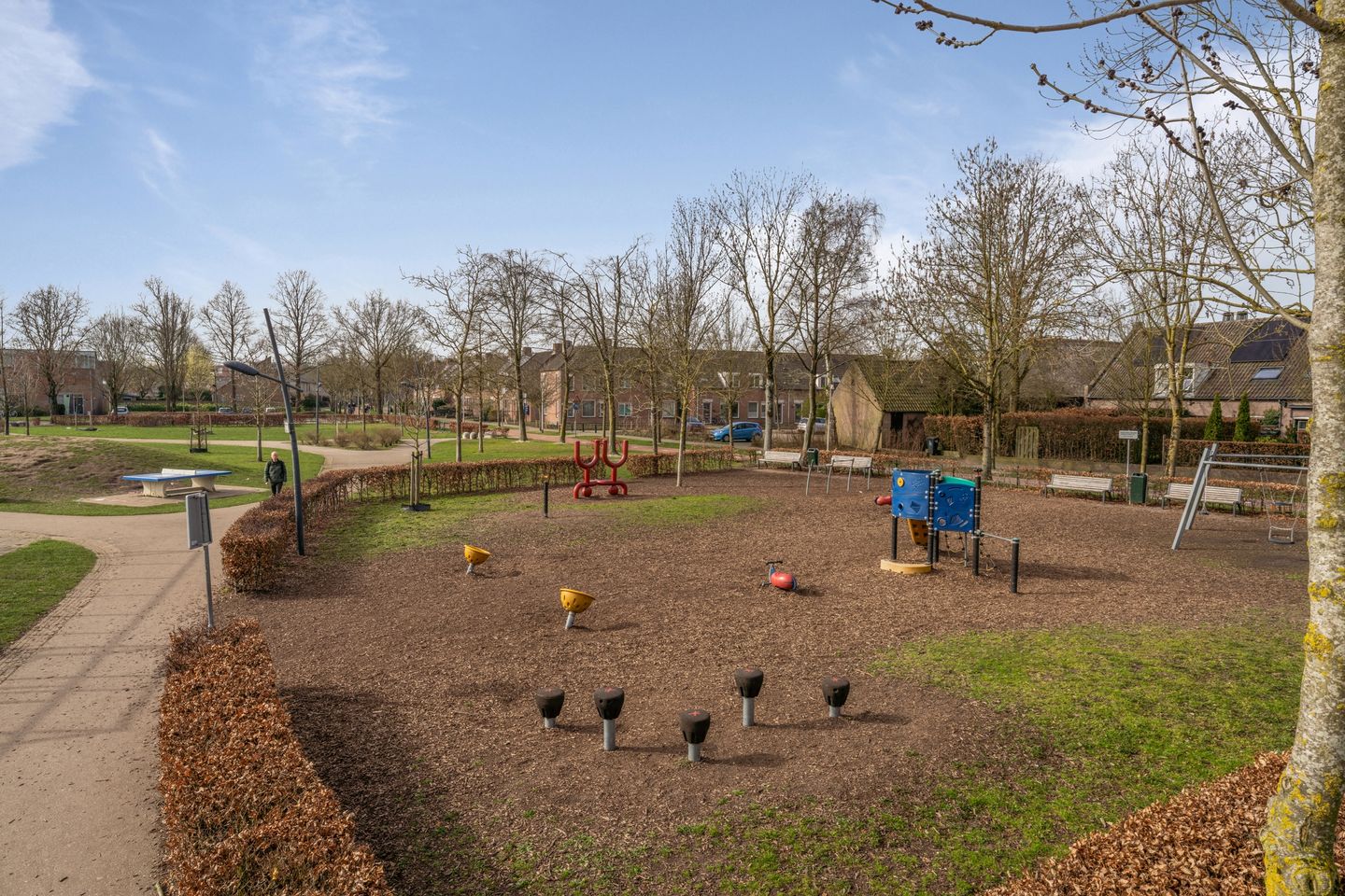 Foto 55 van Kraanvogel 43