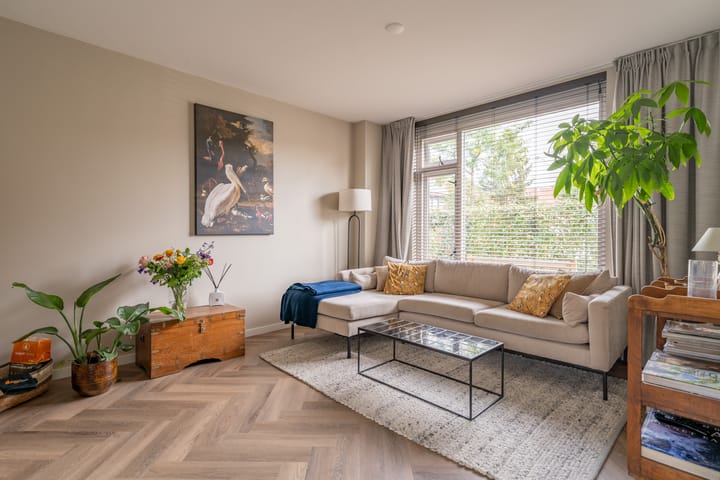 Foto 4 van Jonneveen 18