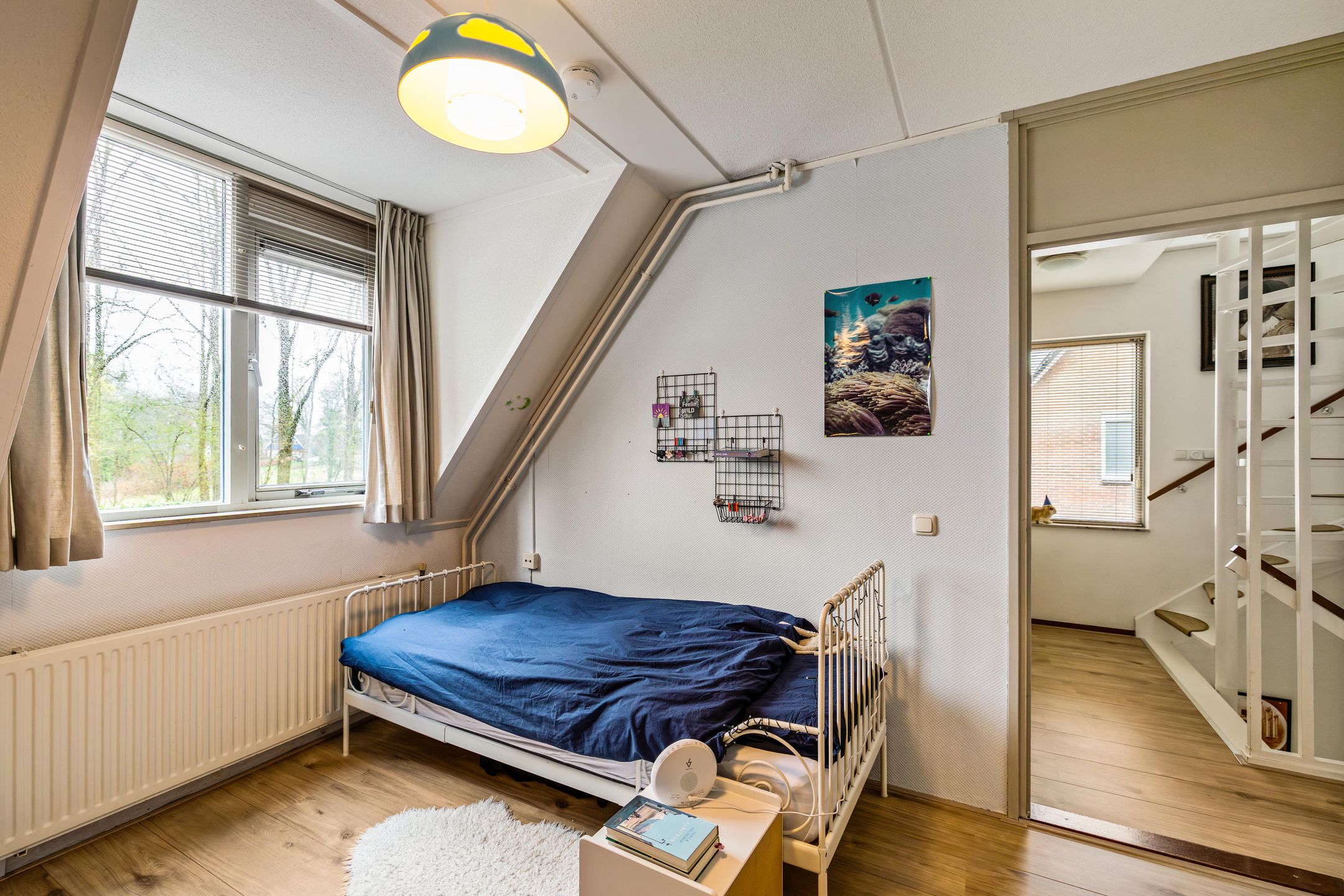 Photo 30 of Wilgenroos 40