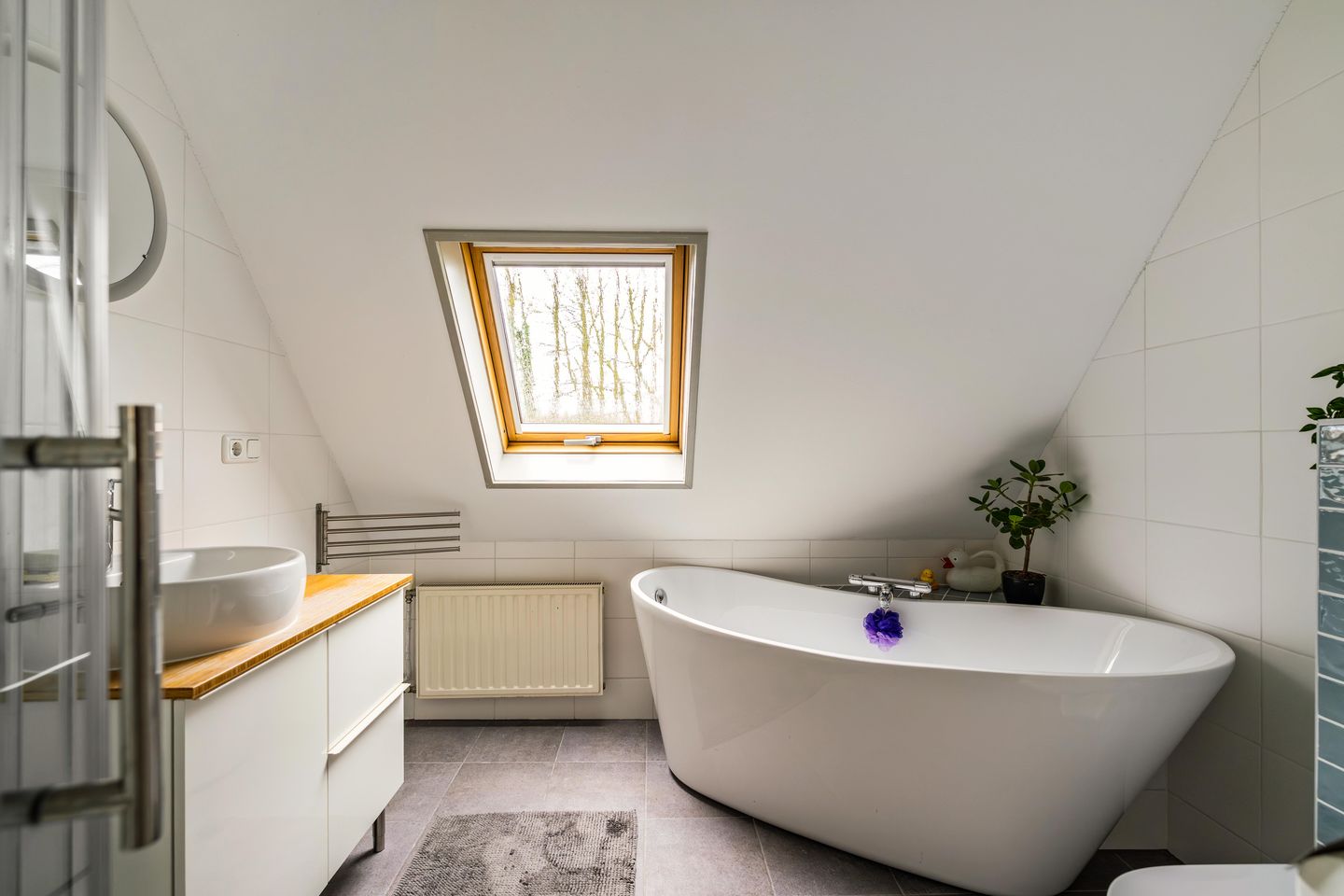 Photo 5 of Wilgenroos 40