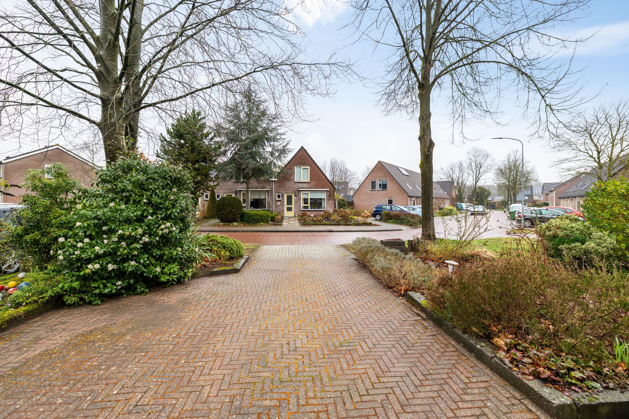 Photo 9 of Wilgenroos 40