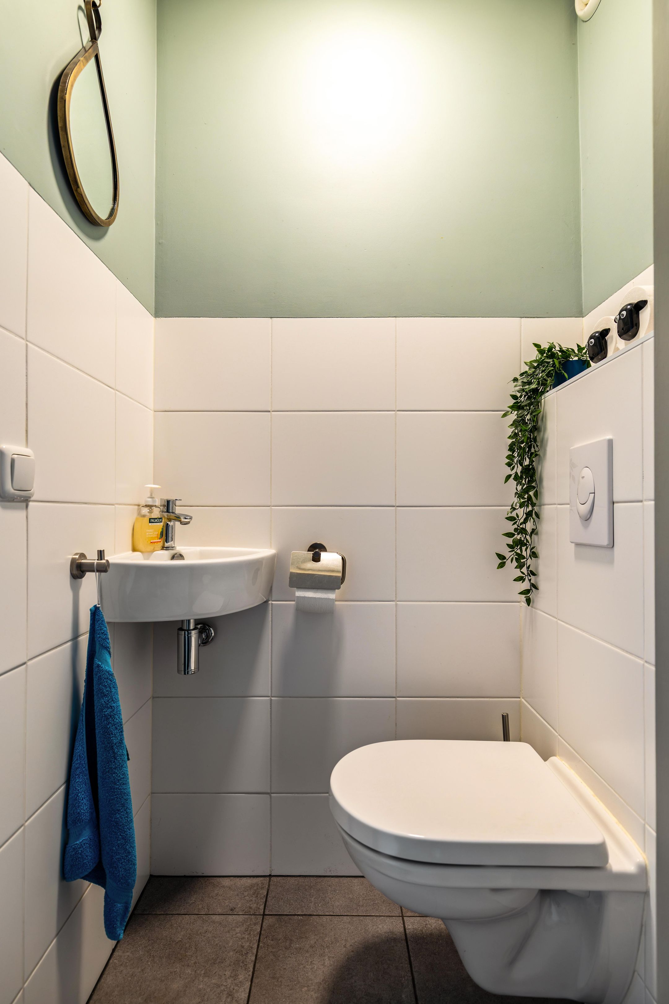 Photo 12 of Wilgenroos 40