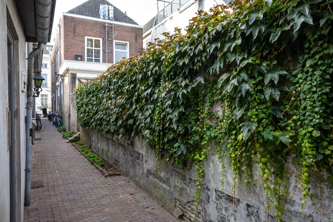 Foto 31 van Achter het Schaapshoofd 15