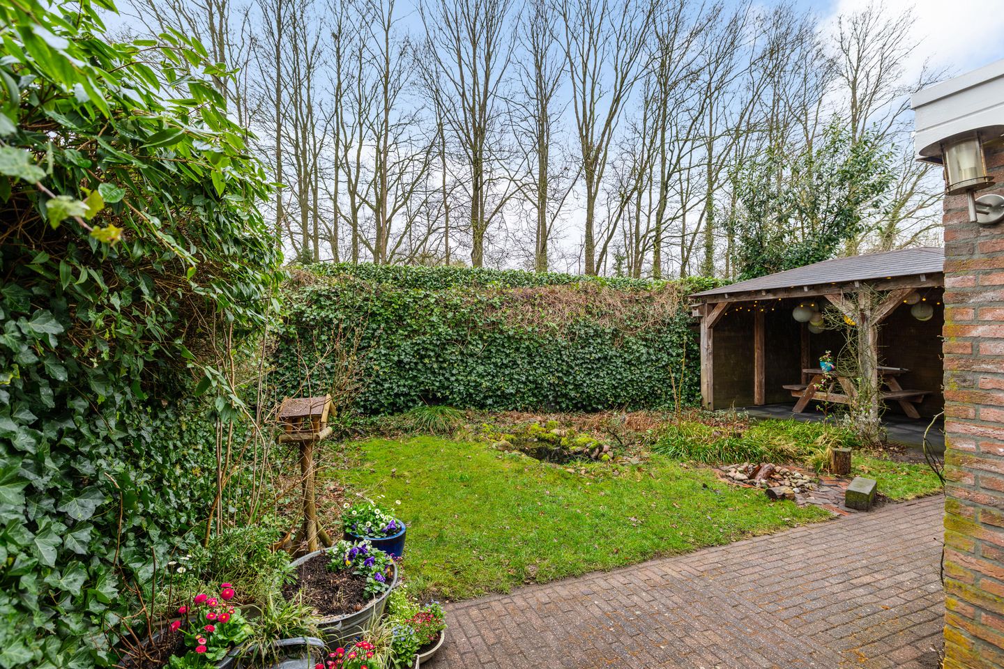 Photo 44 of Wilgenroos 40