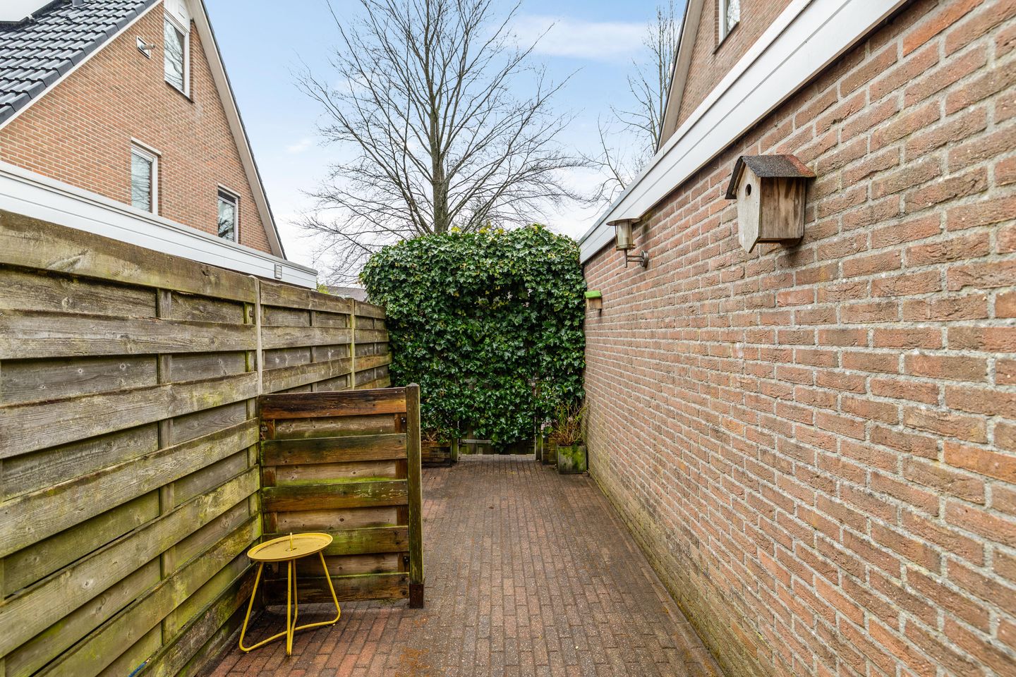 Photo 49 of Wilgenroos 40