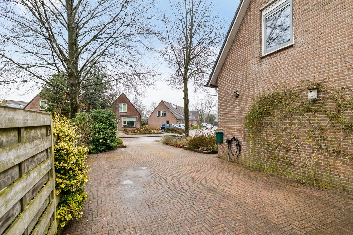 Photo 50 of Wilgenroos 40