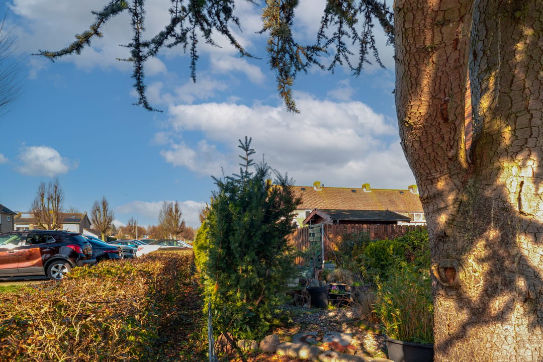 Photo 41 of Hertog Arnoudstraat 28
