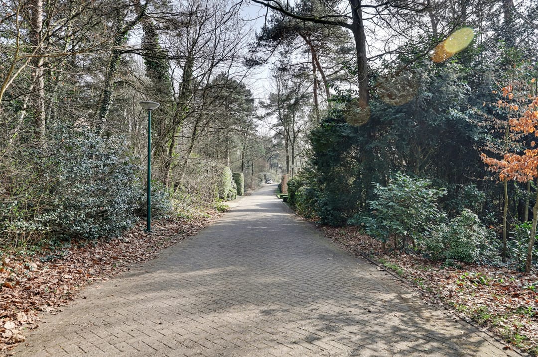 Foto 37 van Jan Roeststraat 4