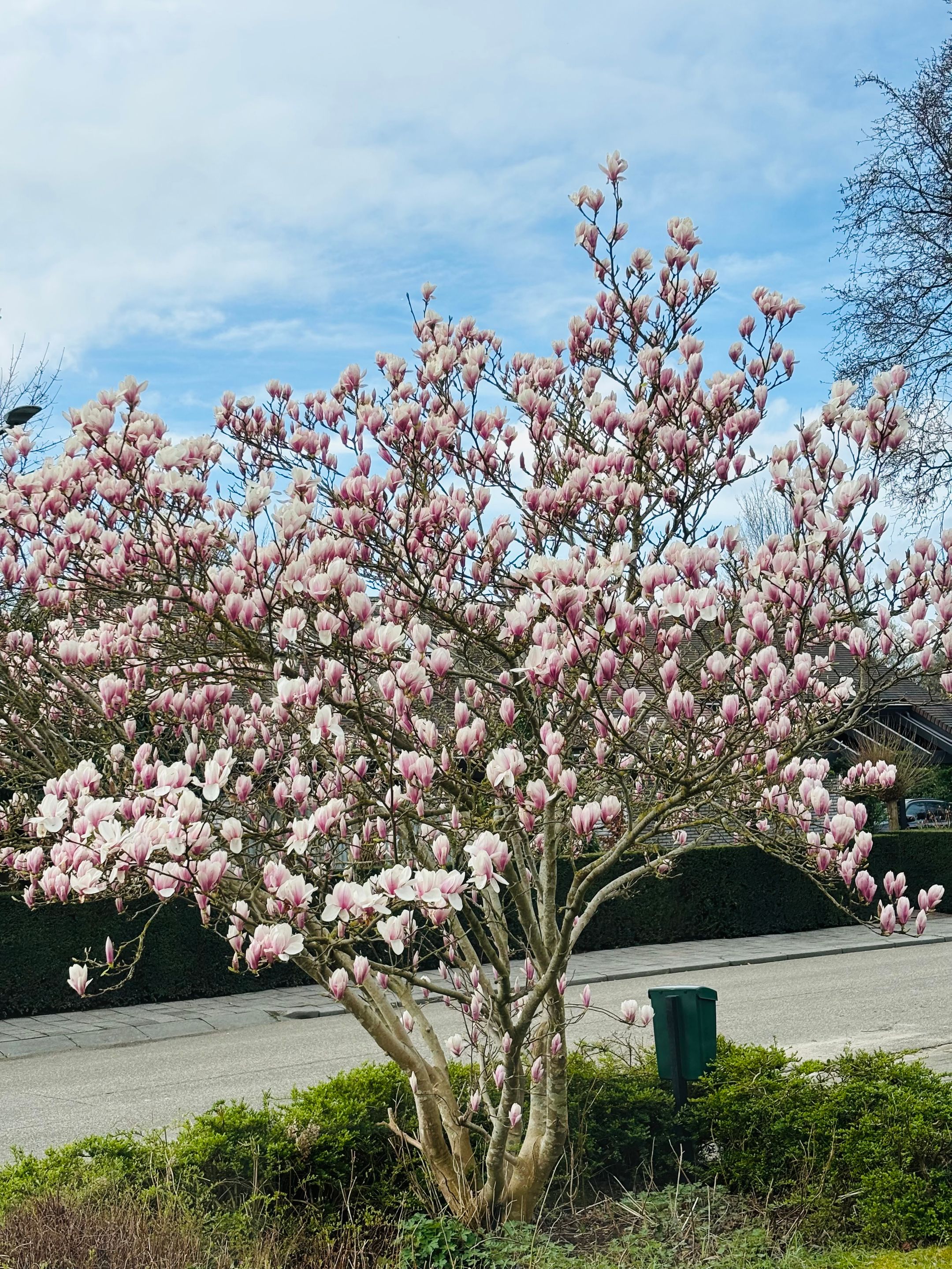 Photo 42 of Westerkim 4