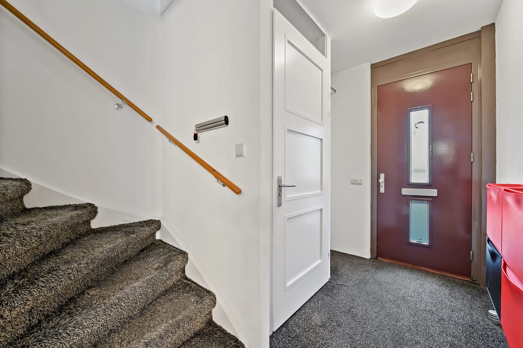 Photo 2 of Snavelbies 3