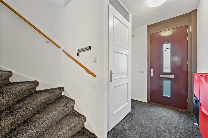 Photo 2 of Snavelbies 3