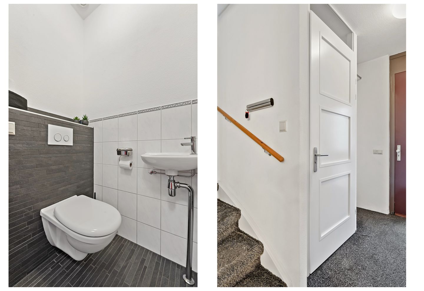 Photo 4 of Snavelbies 3