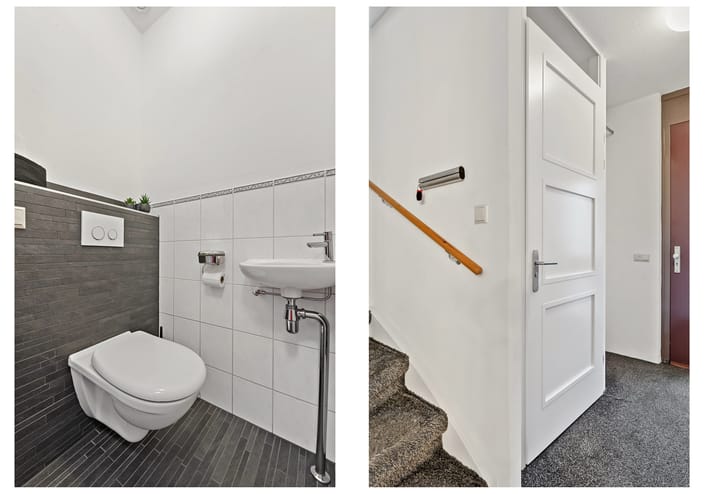 Photo 4 of Snavelbies 3