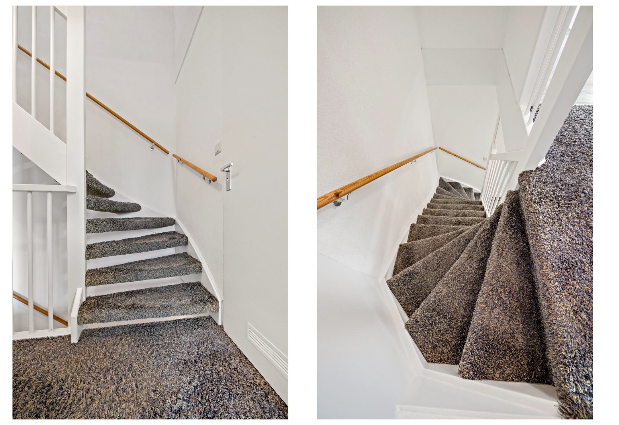 Photo 12 of Snavelbies 3