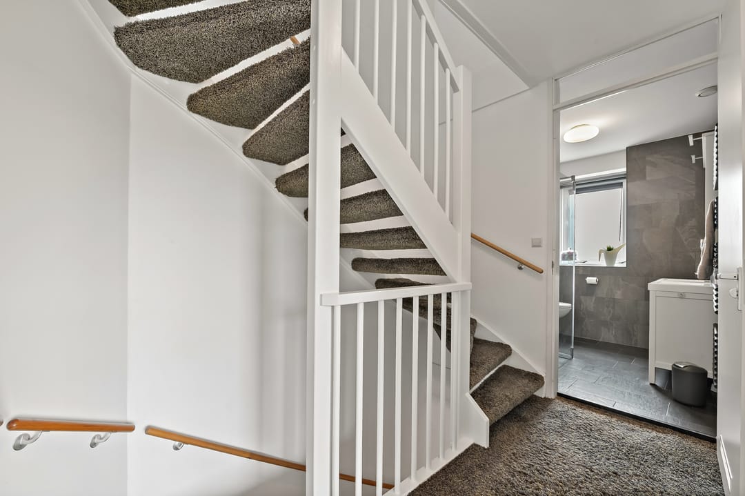 Photo 22 of Snavelbies 3