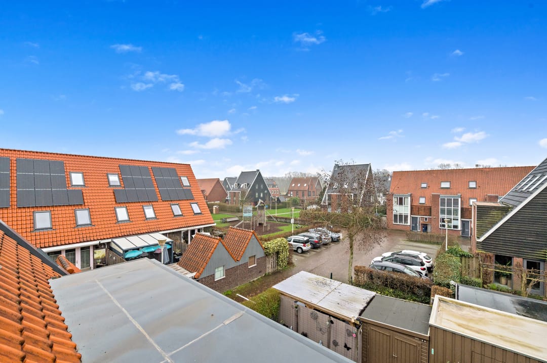 Photo 31 of Snavelbies 3