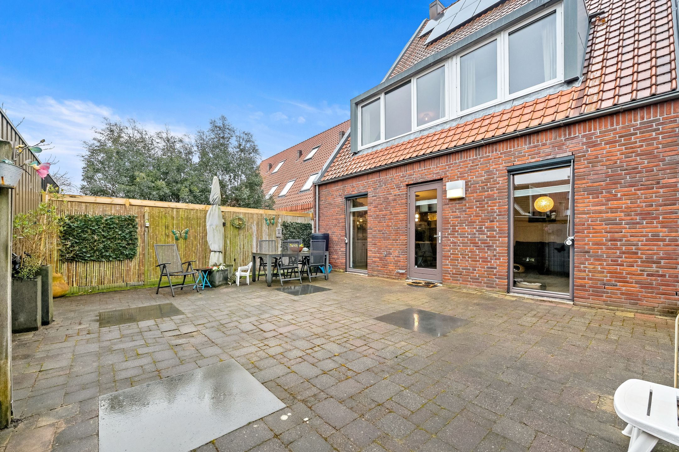 Photo 33 of Snavelbies 3