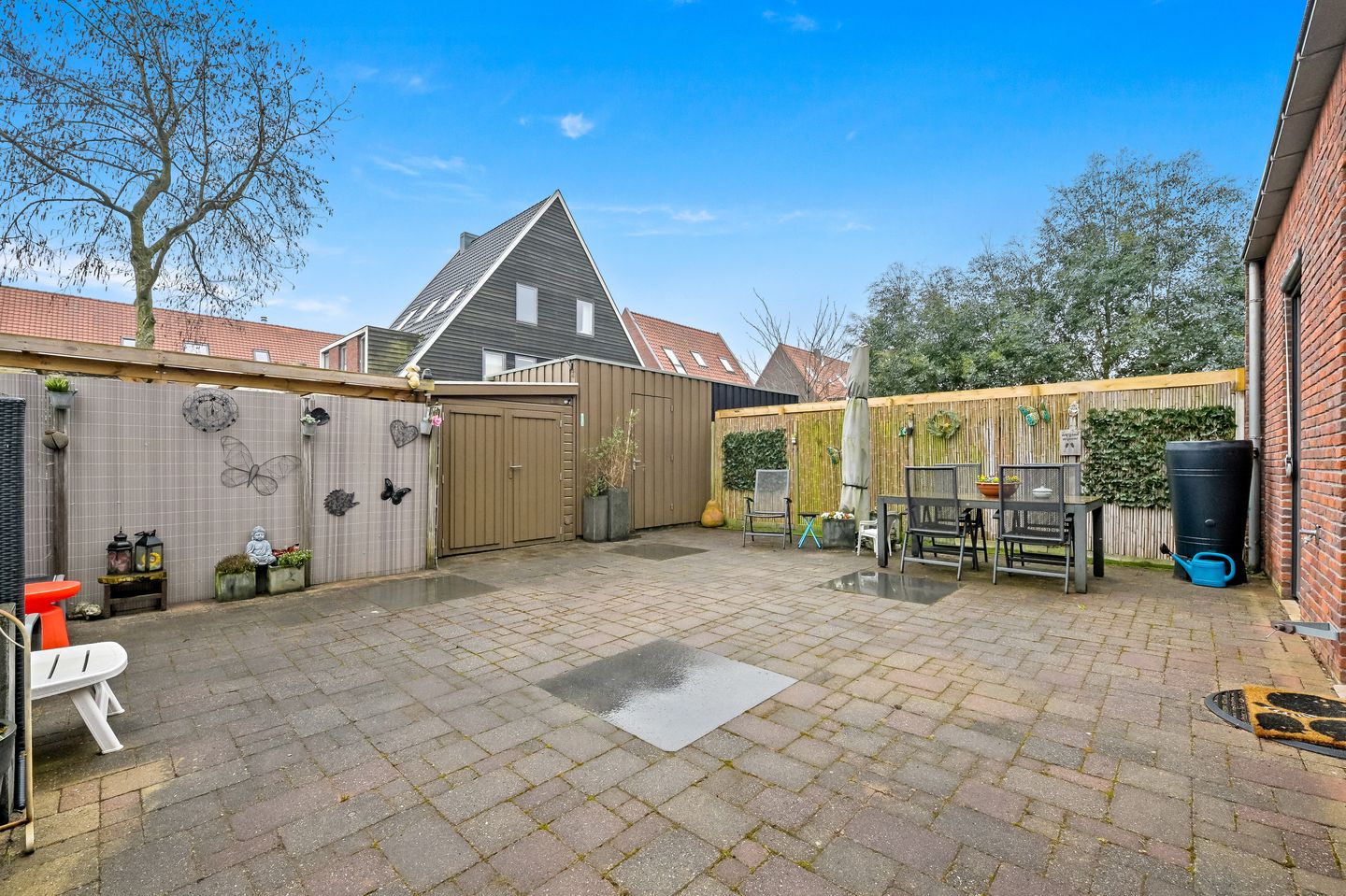 Photo 34 of Snavelbies 3