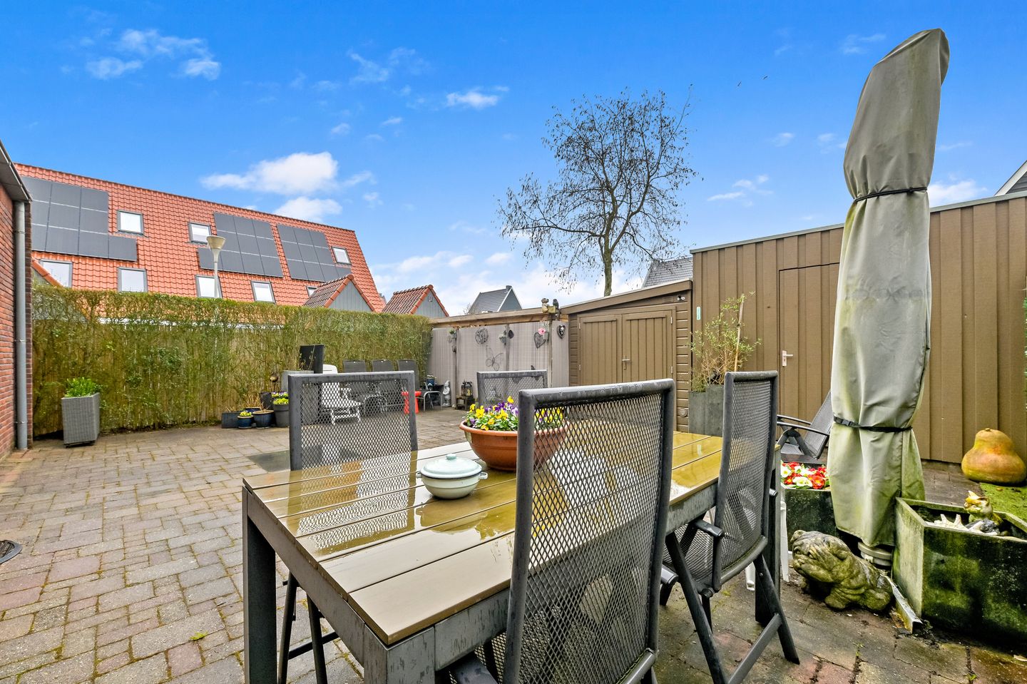 Photo 35 of Snavelbies 3