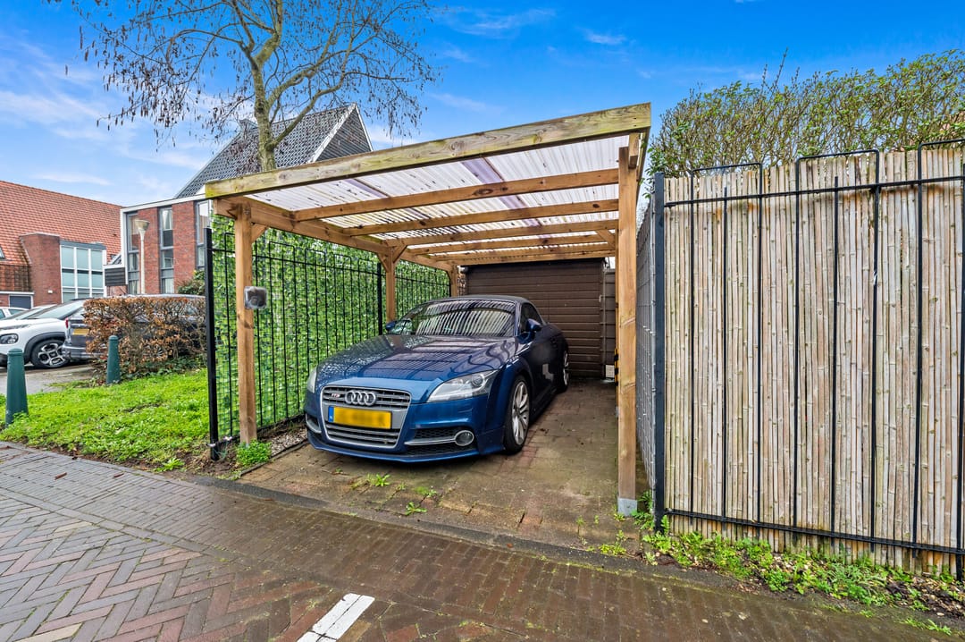 Photo 37 of Snavelbies 3