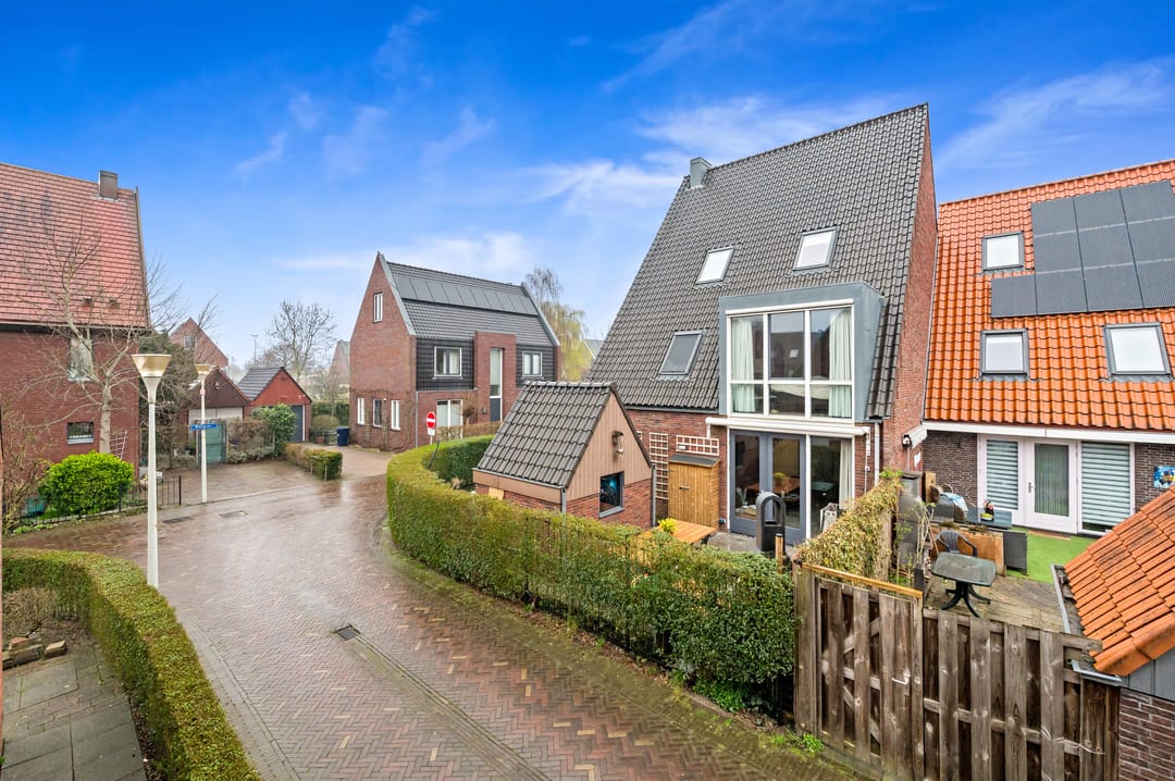 Photo 41 of Snavelbies 3