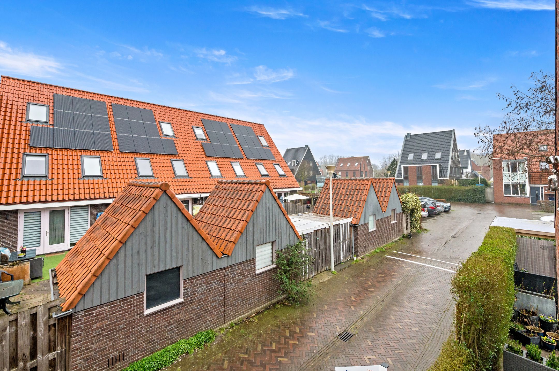 Photo 42 of Snavelbies 3