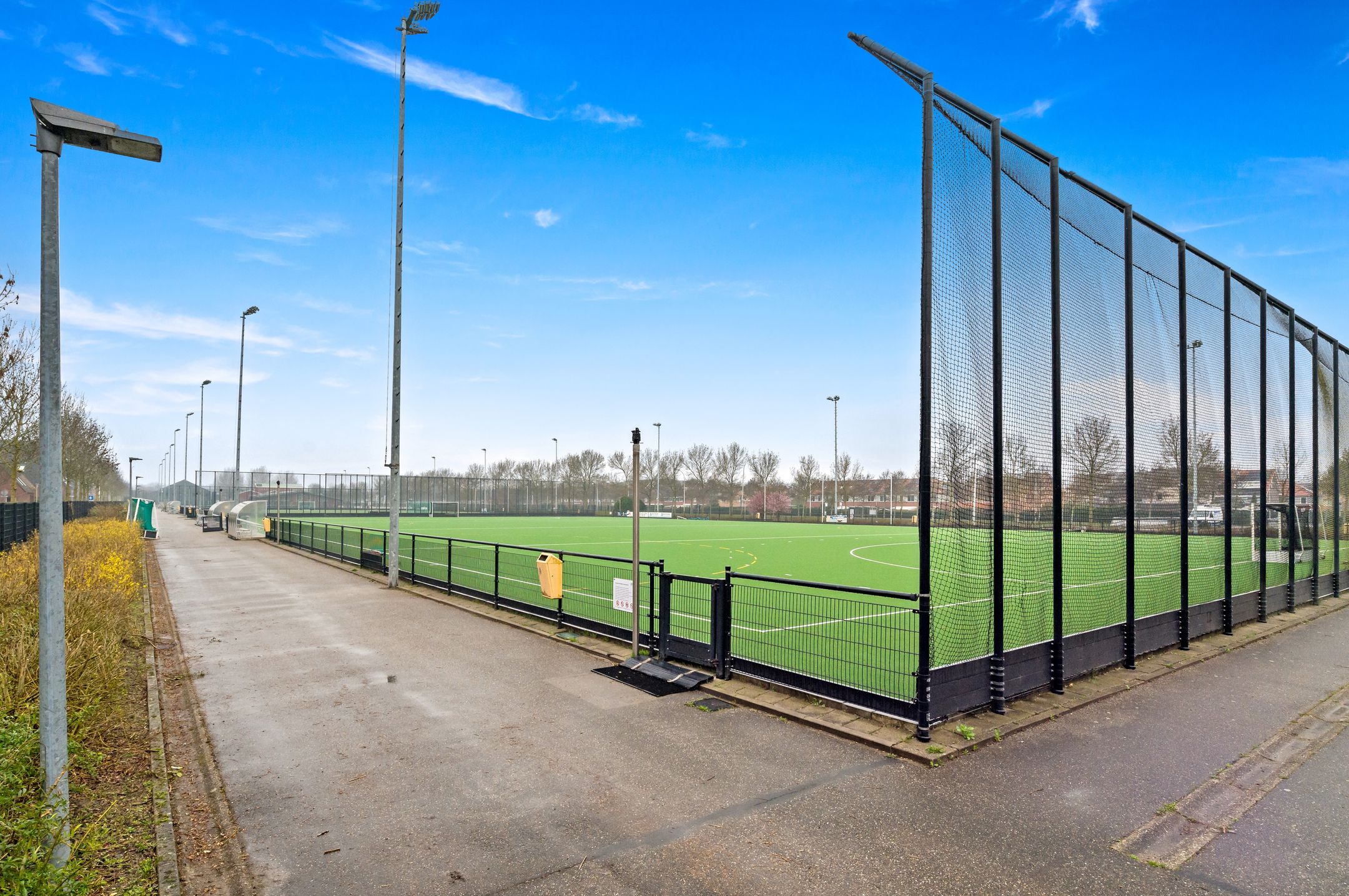 Photo 45 of Snavelbies 3