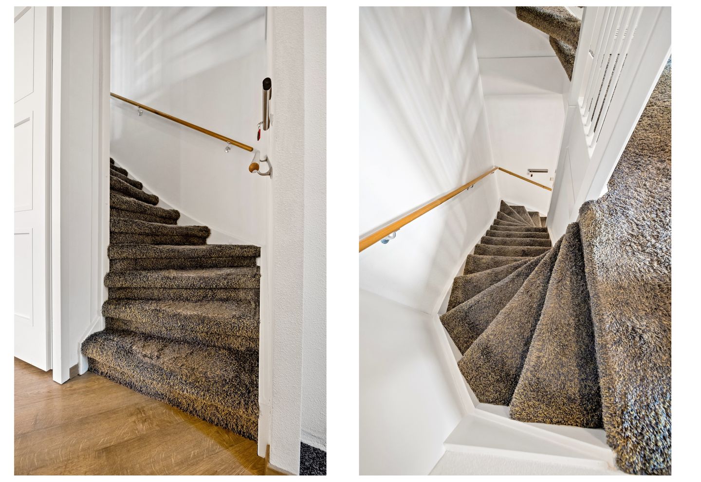 Photo 5 of Snavelbies 3