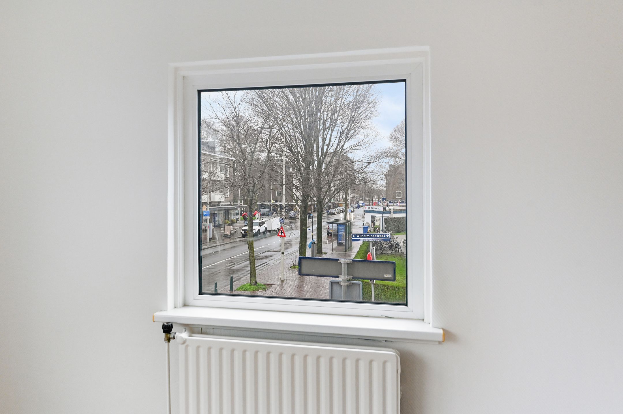 Foto 21 van Wilhelminastraat 53