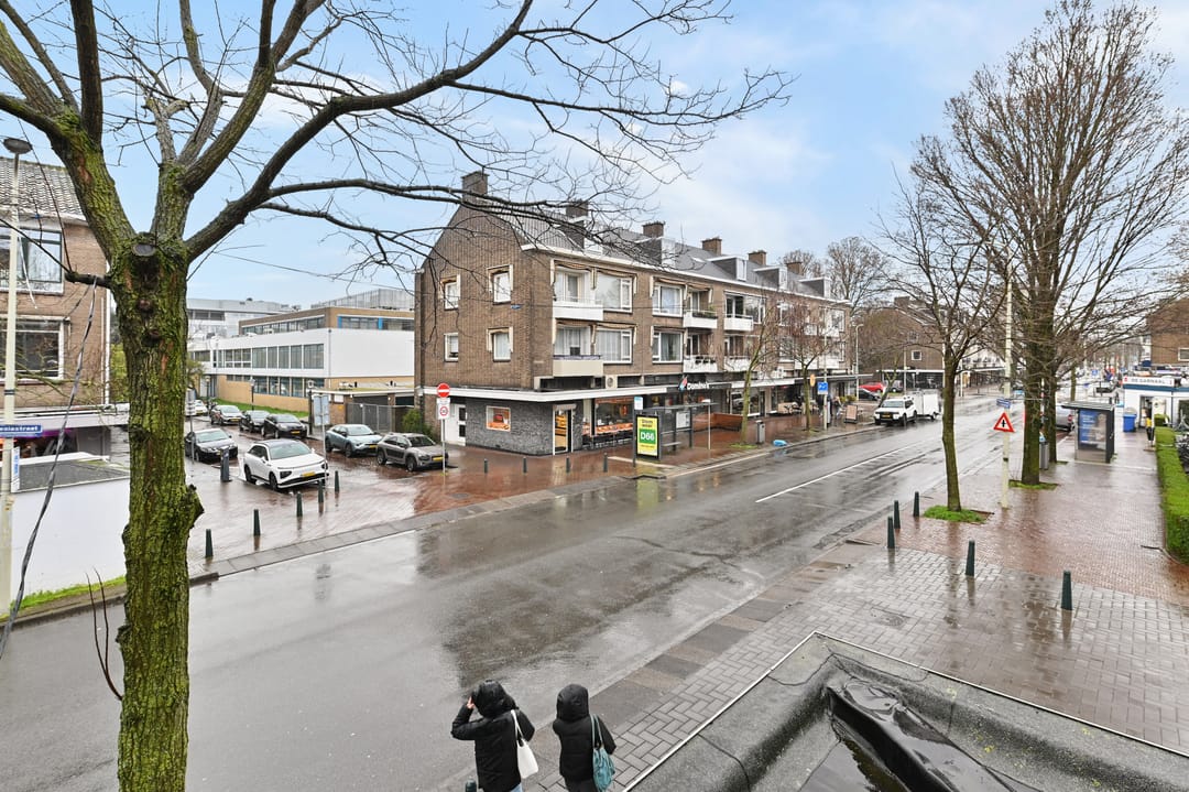 Foto 32 van Wilhelminastraat 53