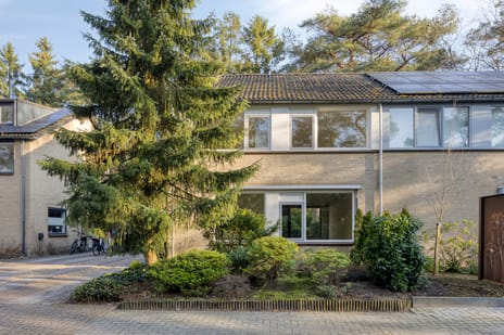 Beukenoord 21 secondary image