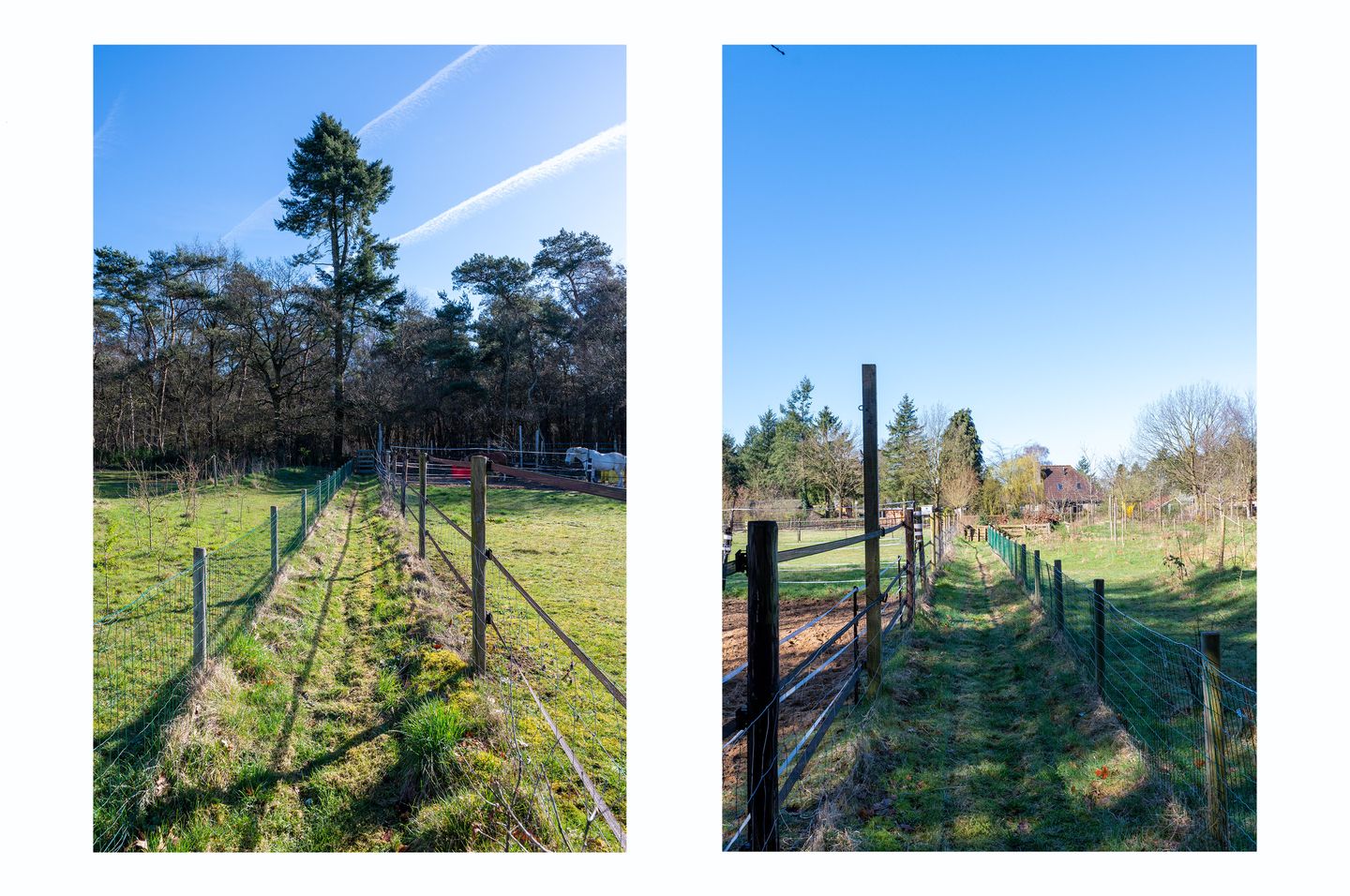 Foto 4 van Krachtighuizerweg 35-B