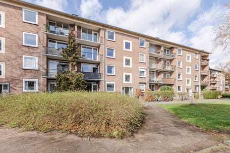 Wolfstraat thumbnail