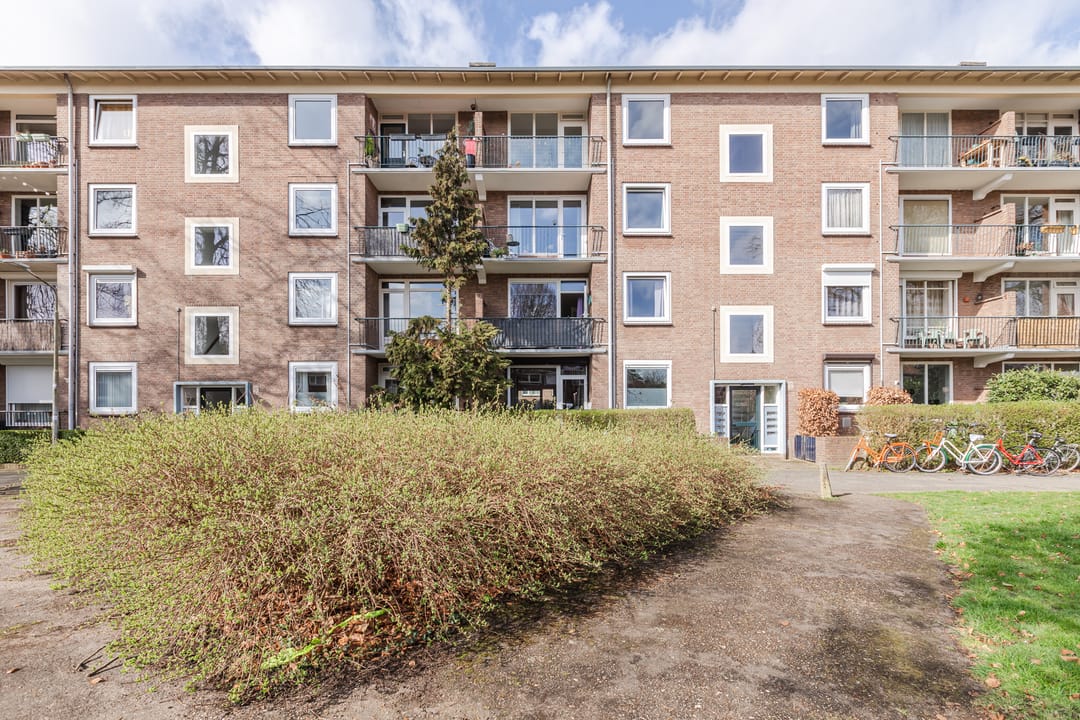 Photo 22 of Wolfstraat 126