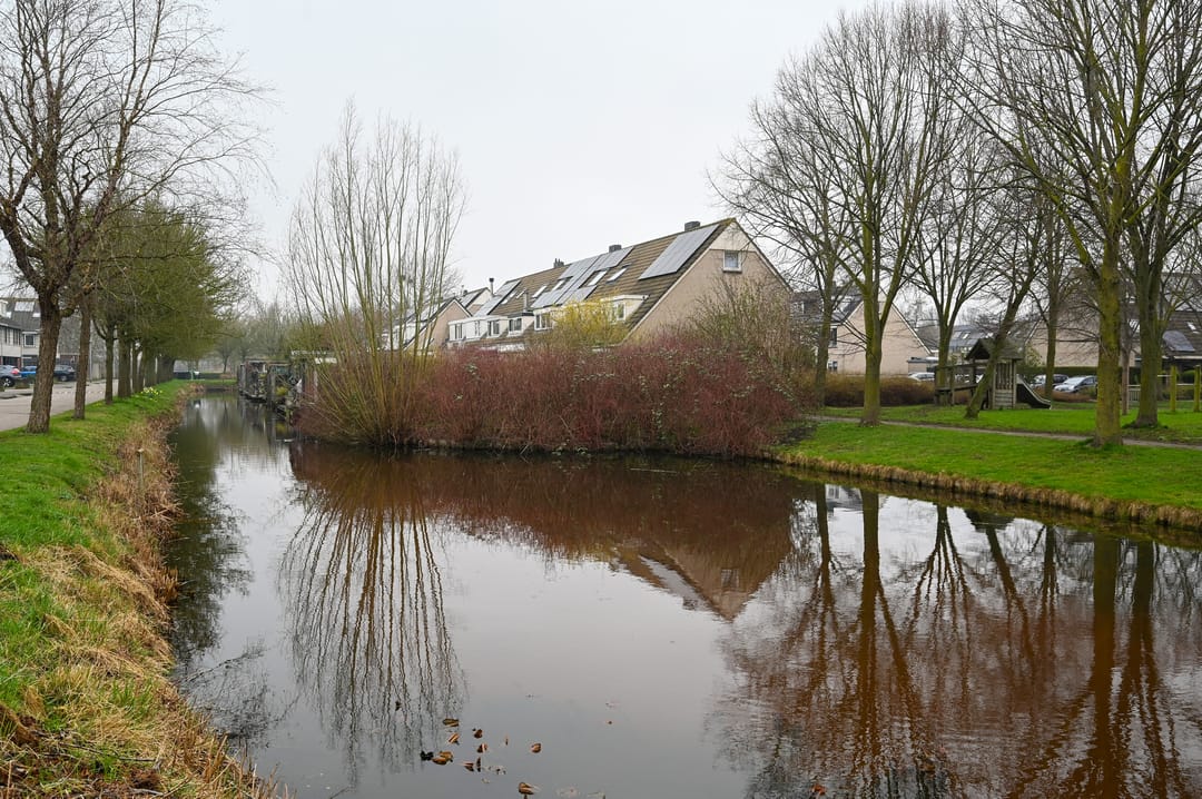 Photo 31 of Rozenlaan 102