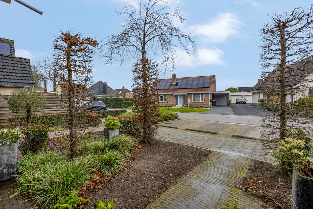 Foto 7 van Zwijning 10