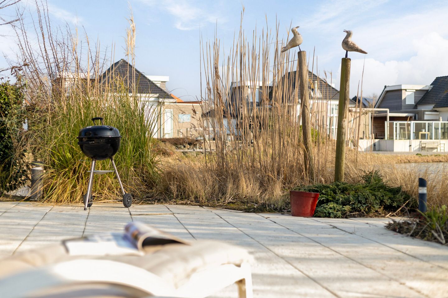 Foto 5 van Parelduiker 4