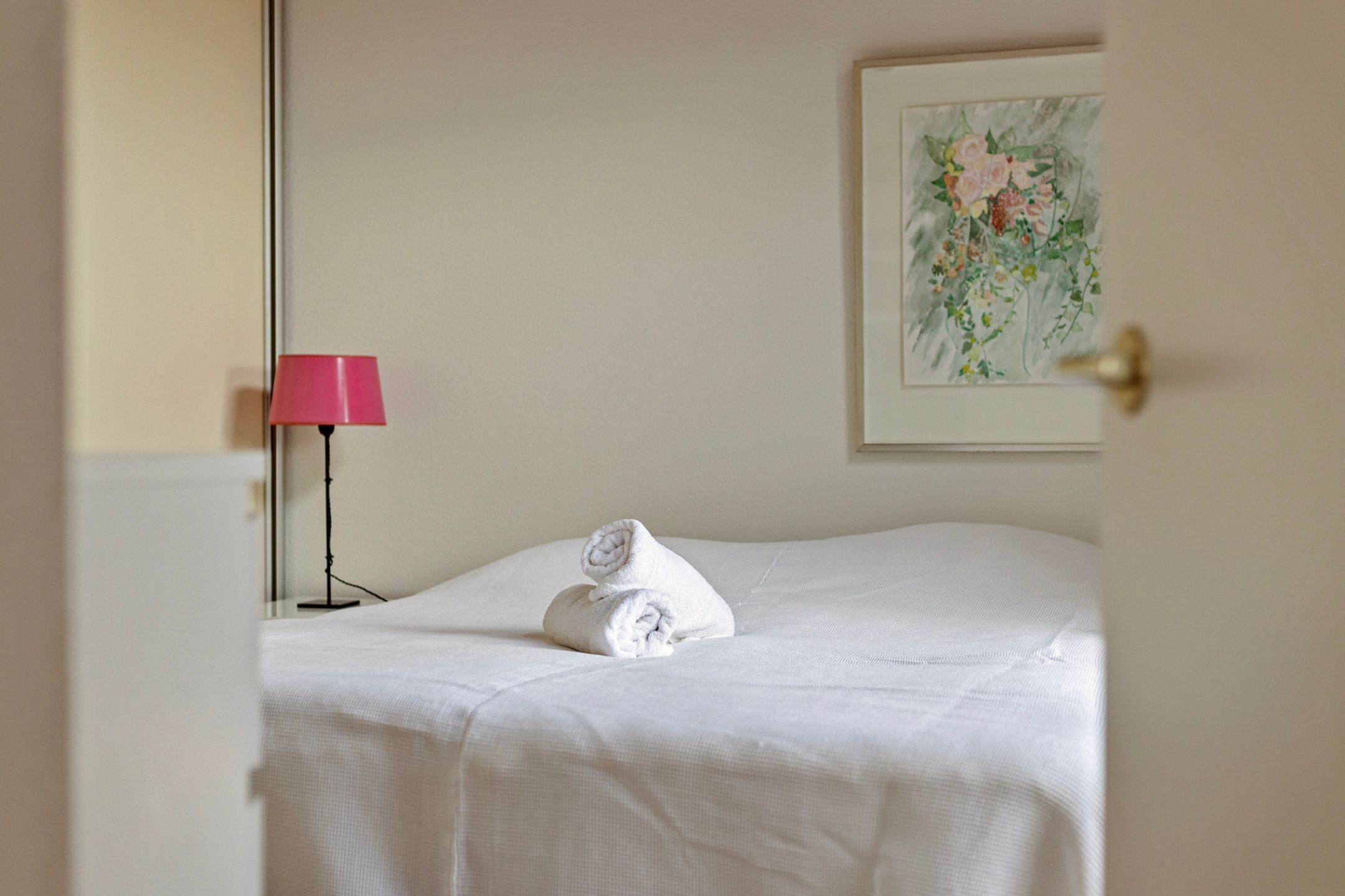 Foto 6 van Parelduiker 4