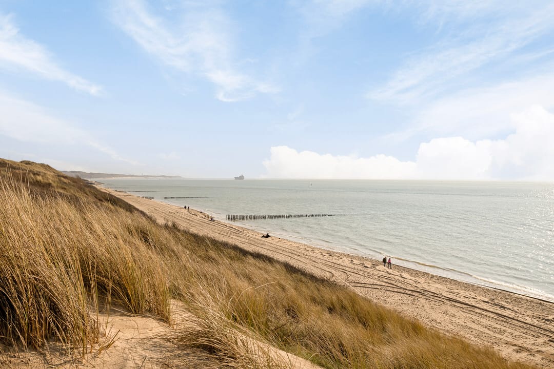 Foto 8 van Parelduiker 4