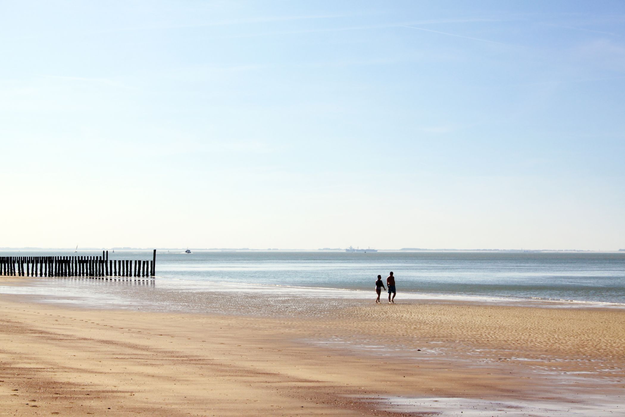 Foto 51 van Parelduiker 4