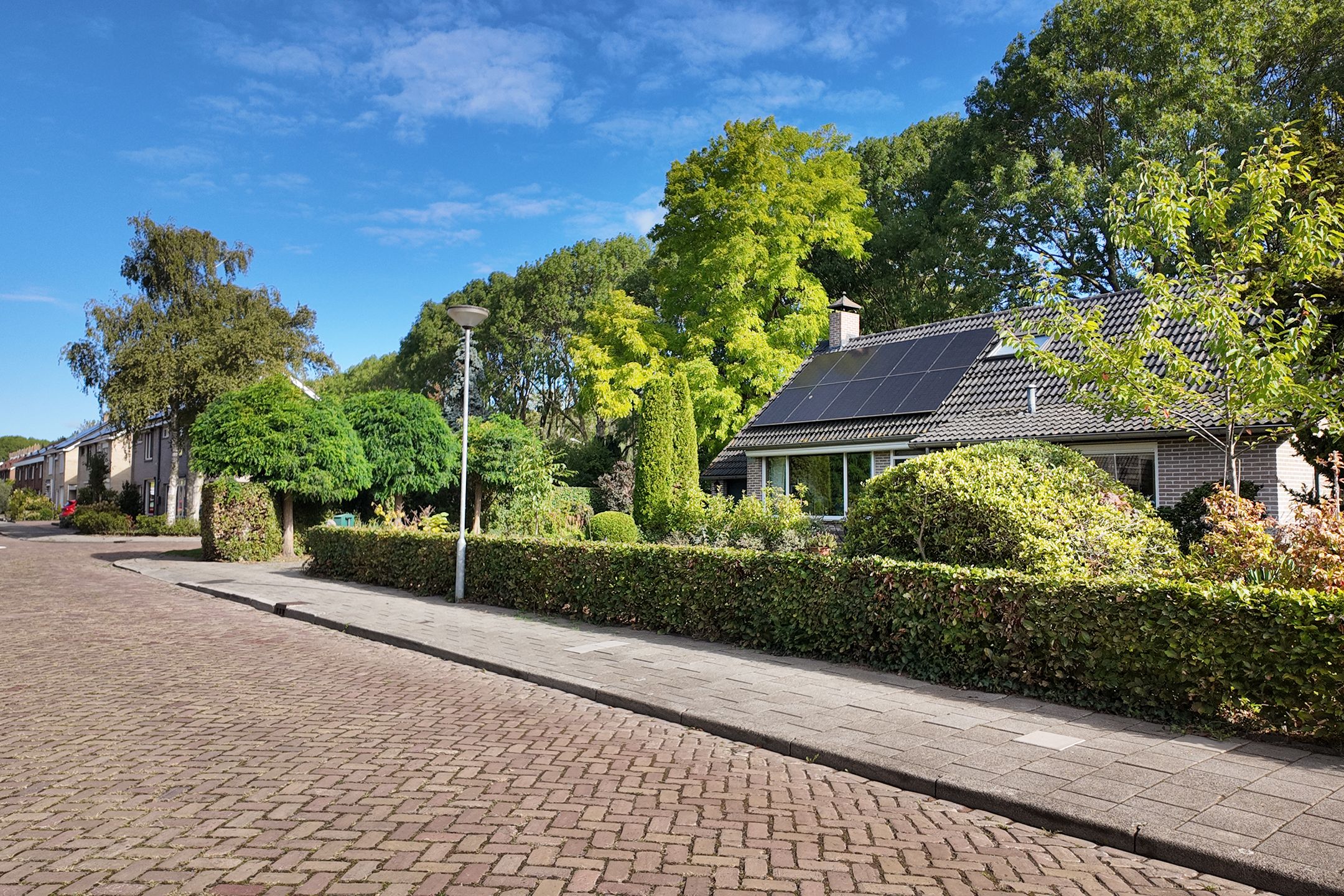 Photo 66 of van Polanenpark 17