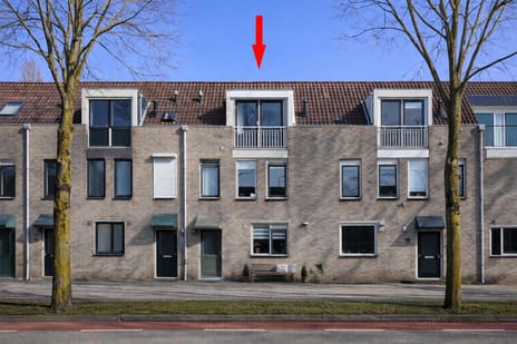 undefined main image