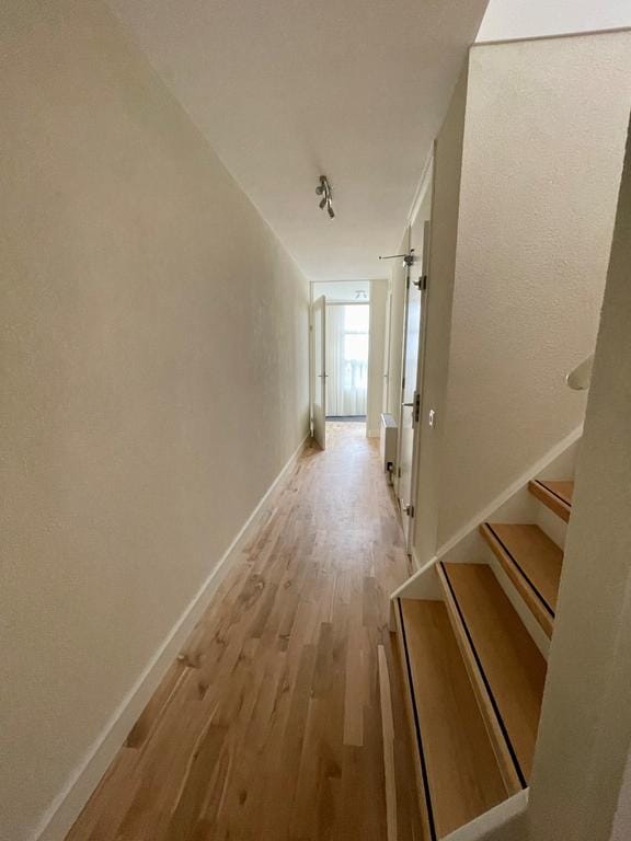 Foto 5 van Saerdam 83