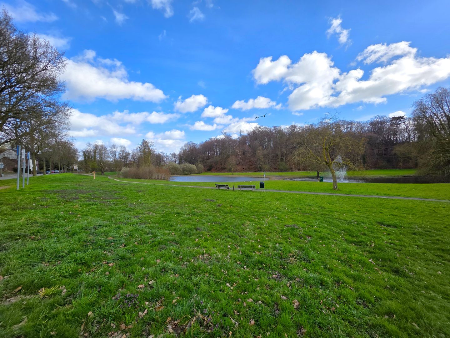 Foto 40 van Raadhuisstraat 25